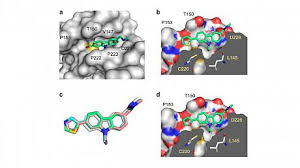Spencer Lab : School of Life Sciences : University of Sussex