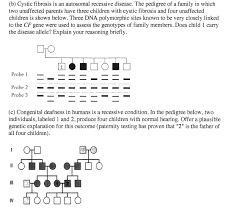 Solved B Cystic Fibrosis Is An Autosomal Recessive Dise