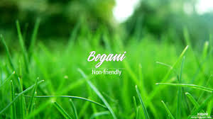Salutations to my lovely imgurian people! Begani Name Meaning In Urdu Arabic Names For Girls