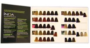 Loreal Professional Inoa Hair Colour Chart Professional