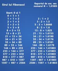 We did not find results for: Sirul Lui Fibonacci In C Numerele Fibonacci Tutoriale Pe Net Fibonacci Sacred Geometry Fibbonacci Sequence