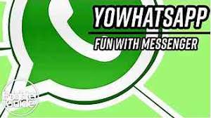 You have to download yowhatsapp apk from here for free. Yowhatsapp Apk Latest Version Download Blogcepot