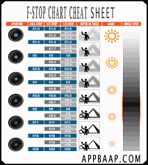 10 Direct Shutter Aperture Iso Speed Pro Tips Paparazzo