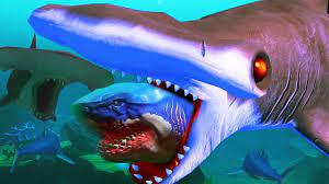 Durante muchos años la forma de su cabeza ha sido la causa de teorías y estudio. El Poder Del Mega Tiburon Martillo Feed And Grow Fish Youtube