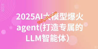 2025AI大模型爆火agent(打造专属的LLM智能体）-92资源站-IT学习网 ...