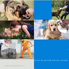 Failure to do so could result in harm to your pet. Dog Cats Animal Anti Bite Protection Gloves Cat Scratch Snake Bite Pet Gloves Leather Thickening Training Dog Anti Biting Gloves In Training Leashes From Home Garden On Aliexpress