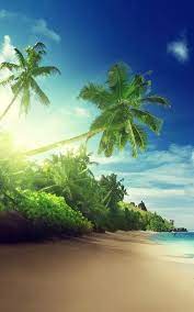 Tropical Beach Live Wallpaper Android Apps On Google Play Beautiful Beach Pictures Live Wallpapers Beach Wallpaper