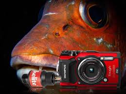 It has therefore been decided that the olympus mission should be terminated and the satellite removed from the geostationary orbital ring. Rc1 Ttl Receiver For Ds Strobes Olympus Tg 5 Camera Review Aperture And Shutter Speed Camera Reviews Wide Angle Photography