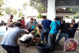 Hewan peliharaan juga bermanfaat dalam. Taman Hewan Siantar Sembelih Hewan Kurban Rahmat Shah Antara News Sumatera Utara