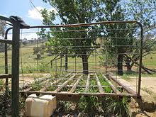 Alexander arm chair black ivory white. Cattle Grid Wikipedia