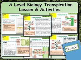 A Level Biology Transpiration Lesson Activities Teaching Resources Biology Lessons Lessons Activities A Level Biology