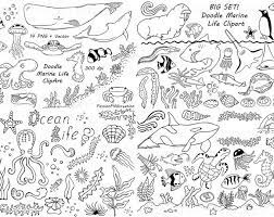 Big Set Of Doodle Hearts Clipart Heart Clip Art Digital Etsy Marine Life Clip Art How To Draw Hands
