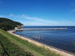 Pin Na Nastence Polsko