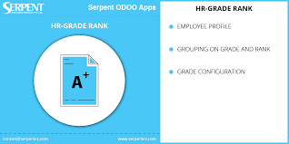 Description Of Employee Profile Grouping On Grade And Rank