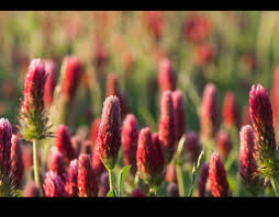 Mehr als 120 campingplätze in frankreich. Elevation Of Jackson Ms Usa Topographic Map Altitude Map