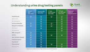 A Closer Look Drug Testing Panels Quest Diagnostics