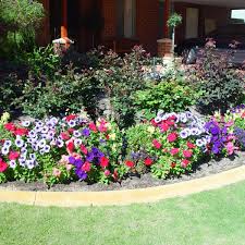 Flower care & maintenance guide. How To Take Care Of Flower Plants In Your Garden Dengarden