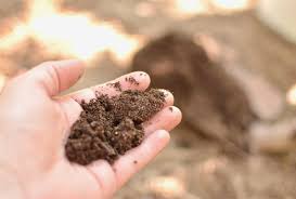 It's one of the few great things you can do that is almost impossible to do wrong. Making And Using Compost For Your Garden The Prairie Homestead