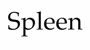 How do you spell out sexual moans? How To Pronounce Spleen Youtube