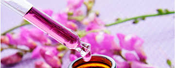 Resultado de imagem para essencias