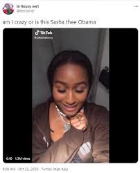 Sasha obama is giving honey. Sasha Obama Lip Syncs To Vulgar Rap Song In Viral Tiktok Video Daily Mail Online