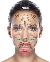 Chinese Medicine Acupuncture Facial Diagnosis Chart