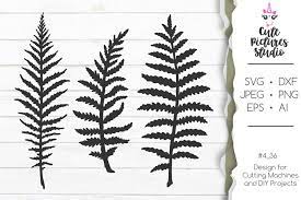 Download Free Svgs Download Set Of Fern Leaves Svg Png Clipart Wild Flower Svg Free Design Resources