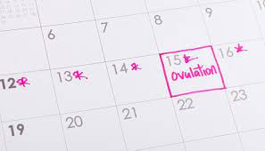 Como Cuidarse Con El Calendario De Dias Fertiles Dkv Quiero Cuidarme