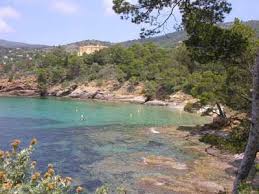 Jardins Du Rayol Le Jardin Des Mediterranees Parc Et Jardin Parcs Le Lavandou