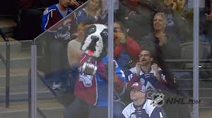 With the mountainous region prone to avalanches, that provided the inspiration for the franchise's new monicker. Trending Gif Hockey Nhl Ice Hockey Mascot Lets Go Bernie Colorado Avalanche Nhl Mascot Bernie The St Bernard Hockey Gif Colorado Avalanche Hockey Hockey