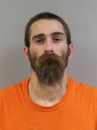 Judge gives Swatara man close to 30 years in prison for murder