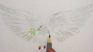 Taube Zeichnen Vogel Malen How To Draw Dove Of Peace White Pigeon Risuem Golubya Mira Youtube