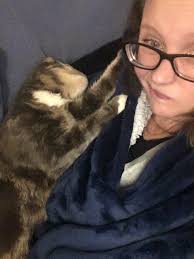 Cute cat and her babies in The Davis Cat Club