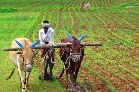 Agriculture ( also called farming or husbandry ) is the cultivation of animals , plants , fungi and other life forms for food , fiber , and other products used to sustain life. How India And Africa Can Start A Revolution In Agriculture And Food Security Outlook Poshan