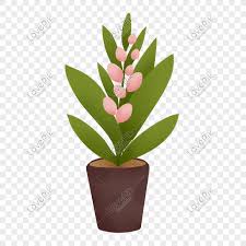 Gratis untuk komersial tidak perlu kredit bebas hak cipta. Bunga Kartun Merah Yang Ditarik Tangan Periuk Pasu Gambar Unduh Gratis Imej 611376140 Format Psd My Lovepik Com