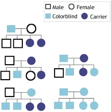 testing color vision