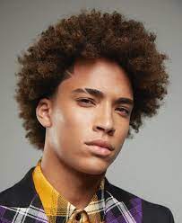 Top Afro Hairstyles For Men In 2021 Visual Guide Haircut Inspiration In 2021 Afro Hairstyles Afro Hair Models Mens Hairstyles