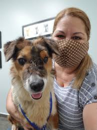 Brownie Blondie Foundation by Marjorie Andino