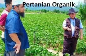 Usahawan tempatan disaran menerokai aktiviti perniagaan dan pelaburan di kemboja sama ada persendirian atau membentuk. Anim Agro Technology Pertanian Organik Di Malaysia