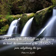 We would like to show you a description here but the site won't allow us. Psalms 19 8 Kjv The Statutes Of The Lord Are Right Rejoicing The