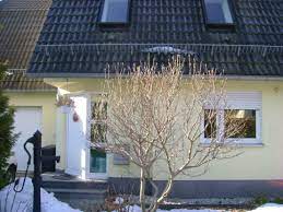 2slplätze bezug am 01.11.2021 ! Haus Zu Vermieten Am Eichenhof 25 09247 Chemnitz Rohrsdorf Mapio Net