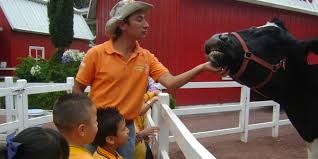 Dia de la niñez y adolescencia de las americas. Granja Las Americas Celebra El Dia Del Nino Vision Global