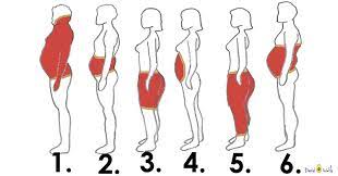 See Where You Re Getting Fat And We Ll Tell You How To Fix It David Avocado Wolfe