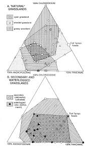 Image result for Eccoptocarpha obconiciventris