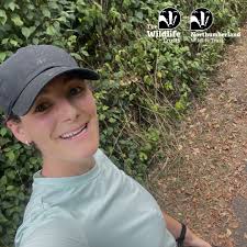 Marine discoveries of 2024 in UK waters 🐌 Warty doris & rainbow sea slugs  🌿 Devil's tongue weed & other new seaweeds 🦈 Tope sharks in Sussex waters  🐢 A loggerhead turtle