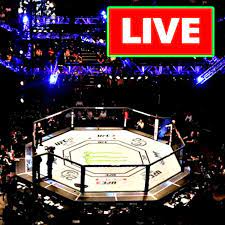 Ufc es la aplicación oficial de la ultimate fighting. Watch Ufc Live Stream Free For Android Apk Download