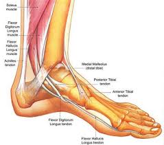 Image result for Foot Pain