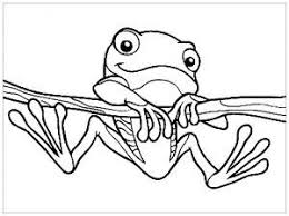 It is native to south america, mexico, and central … Frogs Free Printable Coloring Pages For Kids Frog Coloring Pages Owl Coloring Pages Detailed Coloring Pages