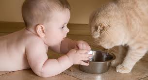 Prevent contact to allergen source more tips on treating cat pollen allergy. Pet Allergies In Babies And Children Babycenter