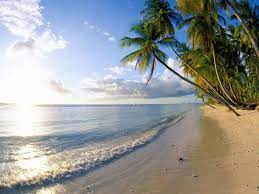 Image result for gambar keindahan dalam laut pixpicker. Beachfront What S On Your Mind When You First See This Picture Steemit